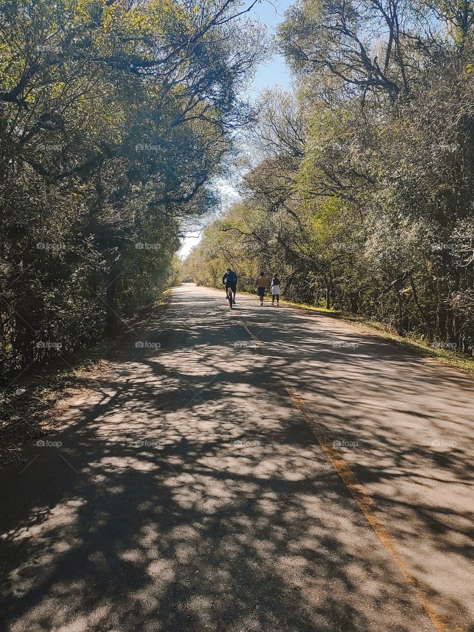 riding the bike