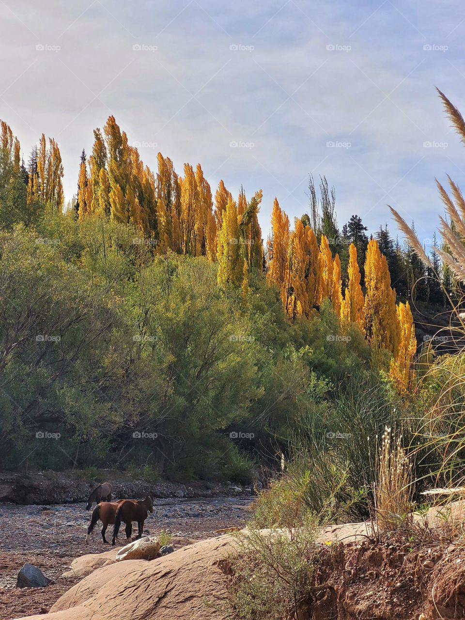 Autumn and its colors