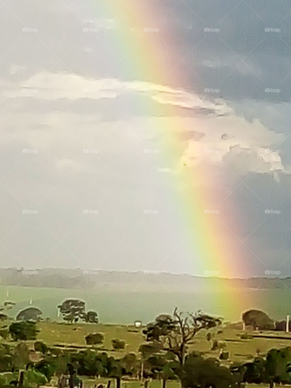 arco íris reluzente