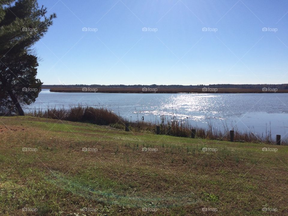 Landscape, No Person, Water, Lake, Tree