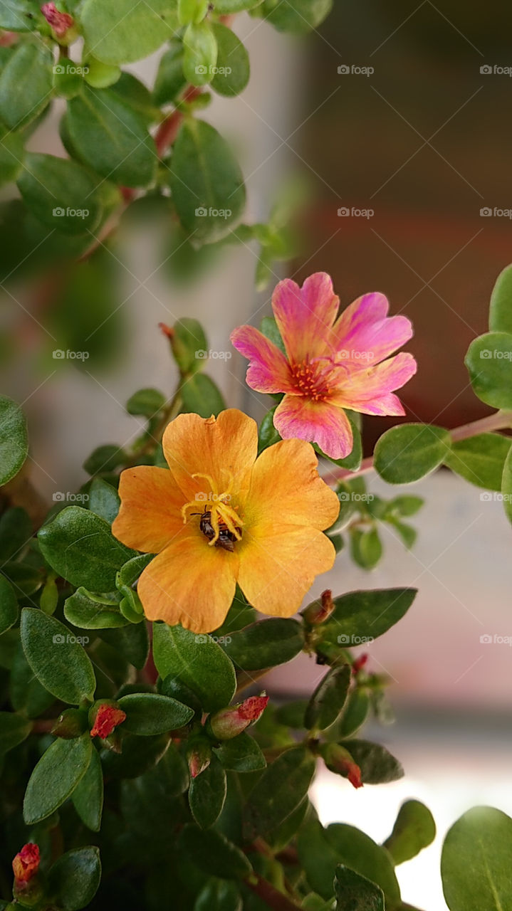 how much do you like this photo