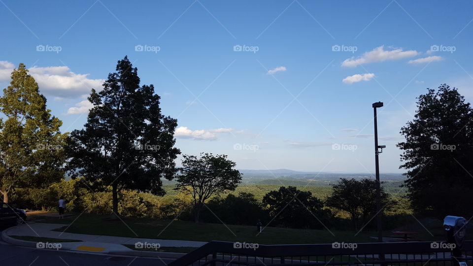 No Person, Tree, Landscape, Outdoors, Sky