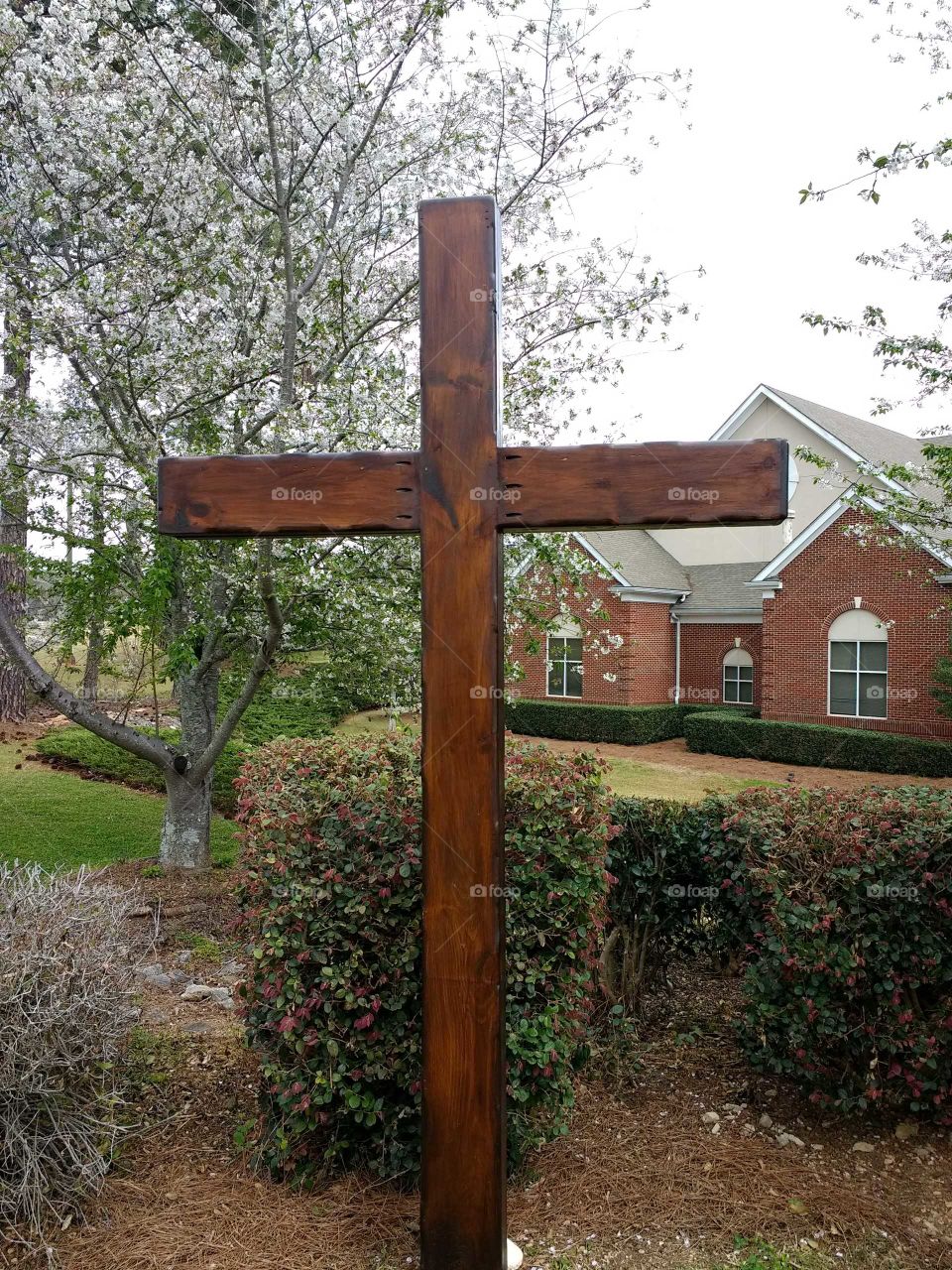 Presbyterian church cross and cheery blossoms