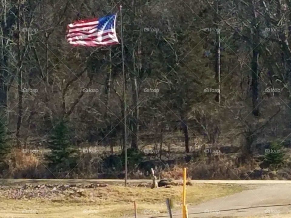 Red, White and Blue The American Flag