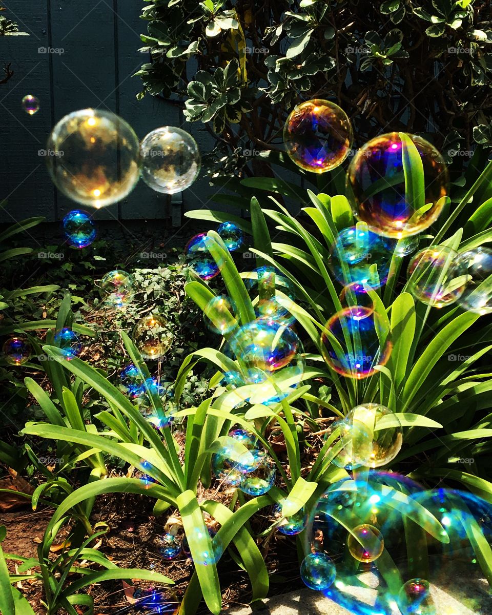 Green plants with bubbles in garden