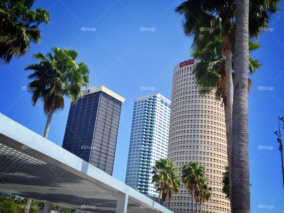 Tampa Downtown