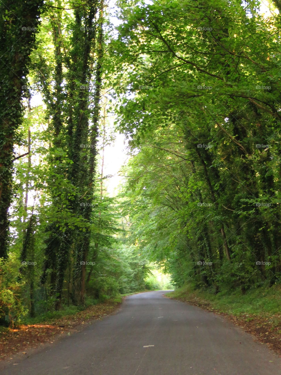 Near Conchil le Temple, Northern France