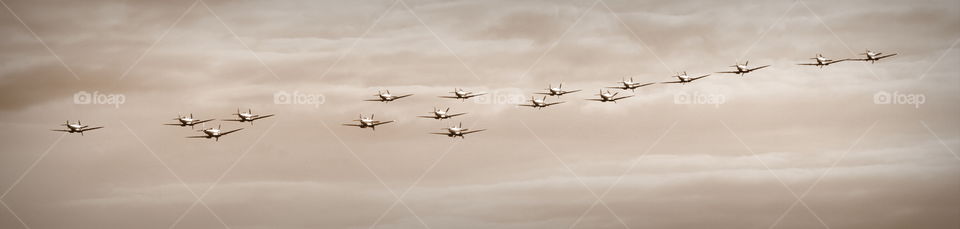 Flight, Airplane, Aircraft, Military, Bird