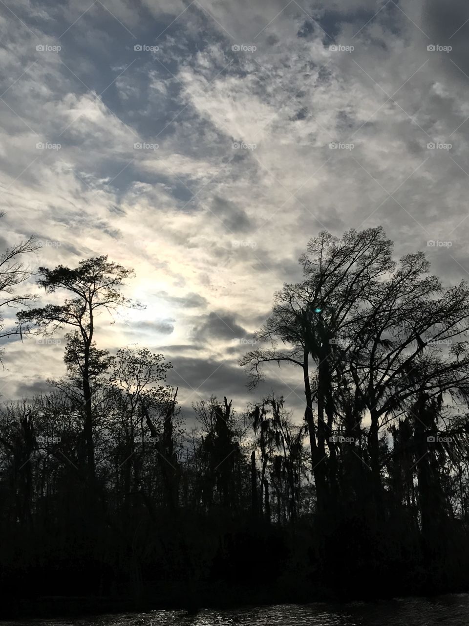 Swamp sky