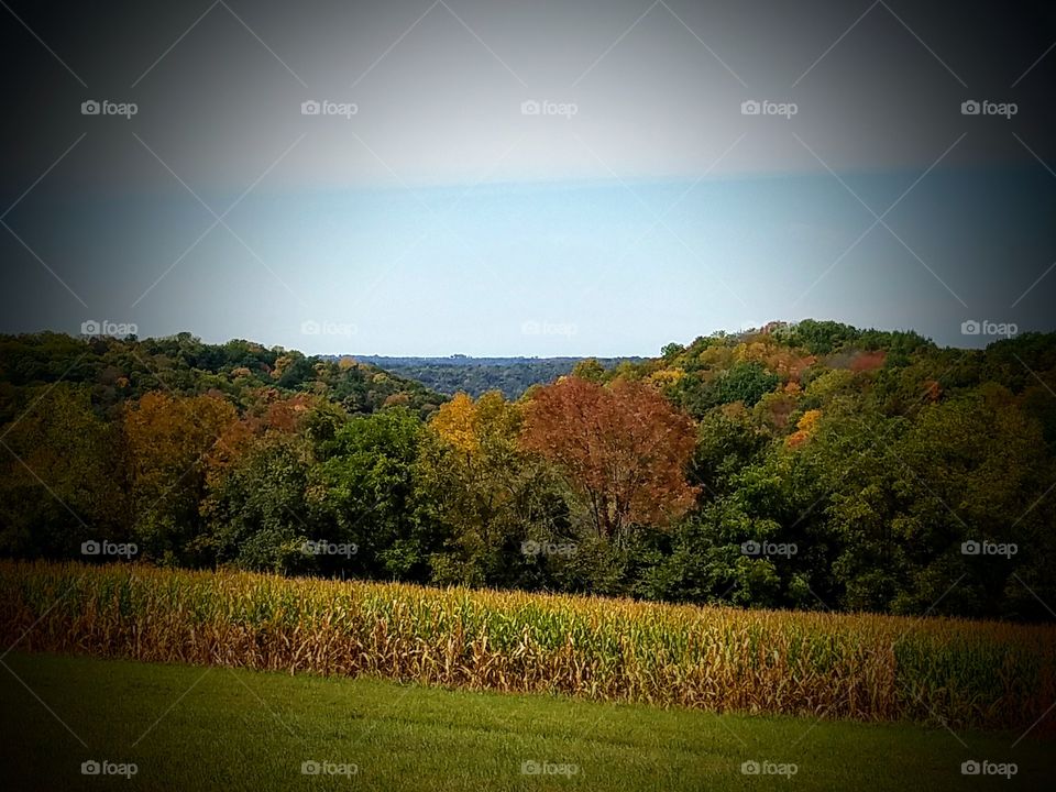 Driving the Back Roads and enjoying everything around us