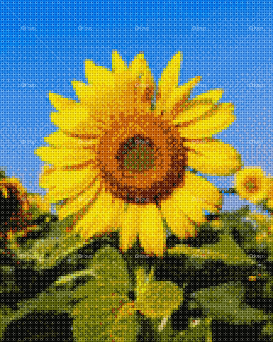 Sunflowers are the most beautiful flowers in the lovely seasons of spring and summer. Flowers are beautiful sight to behold, especially for artists like me, and all people who love flowers. Everyone loves flowers, so buy this picture of foral design.