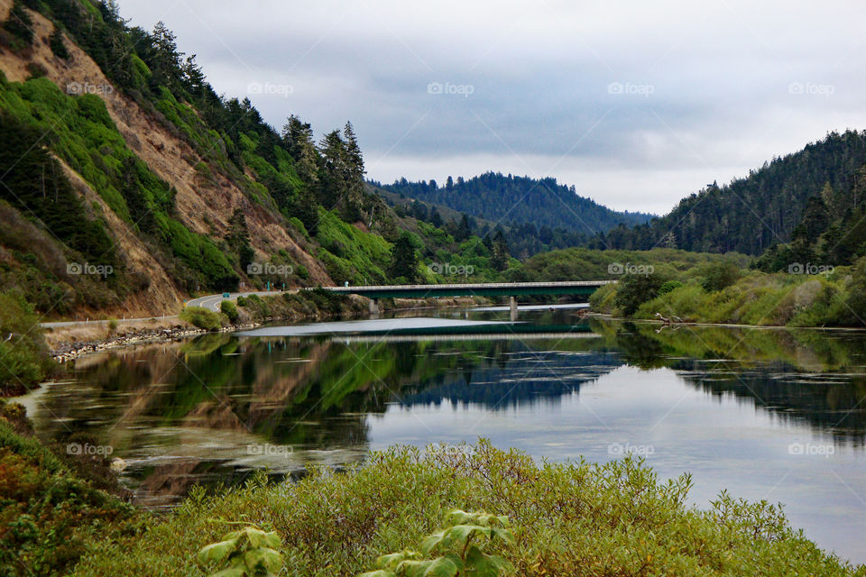 Bridge over the river