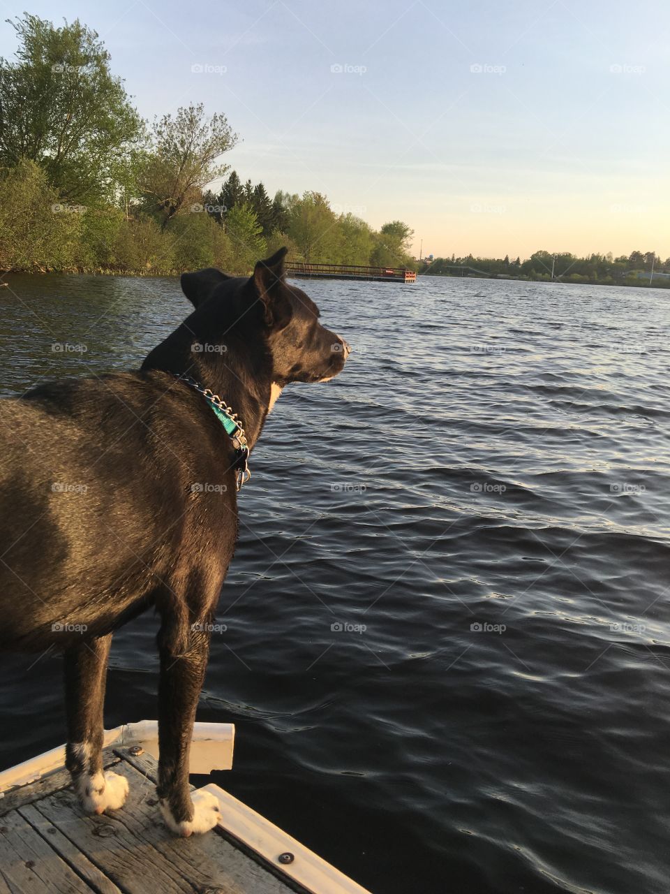 Her favorite stop on our walk