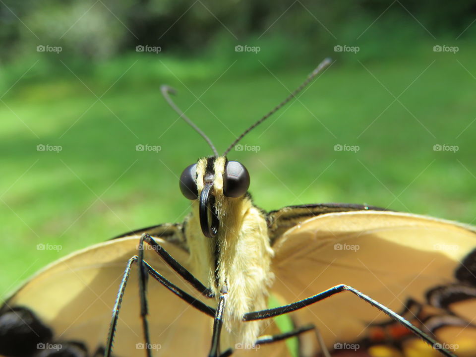 Here's looking at you