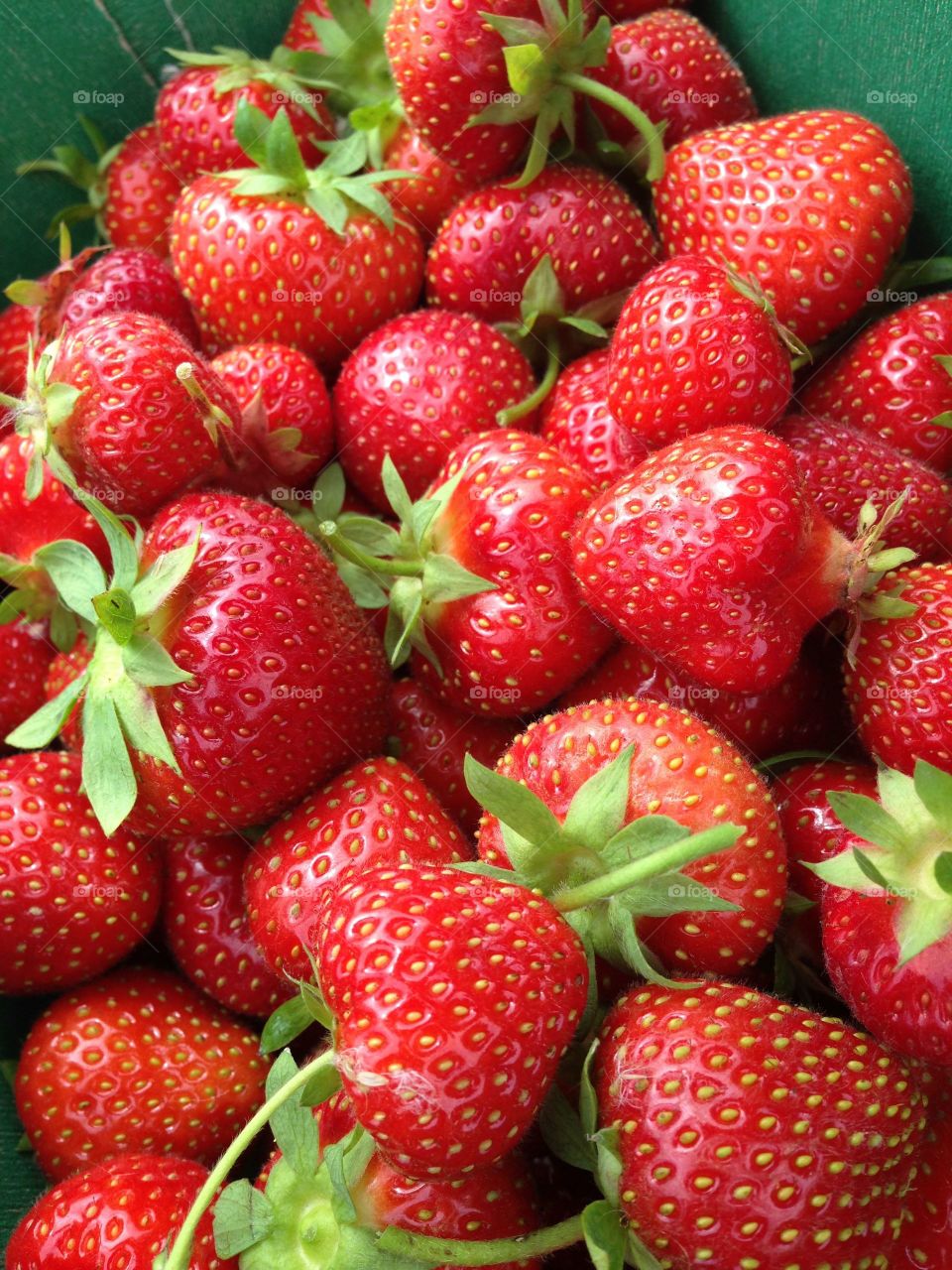 Punnet of freshly picked strawberries