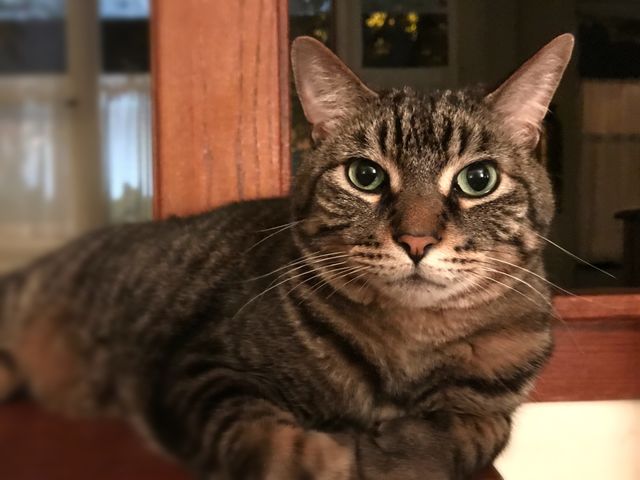 Those eyes