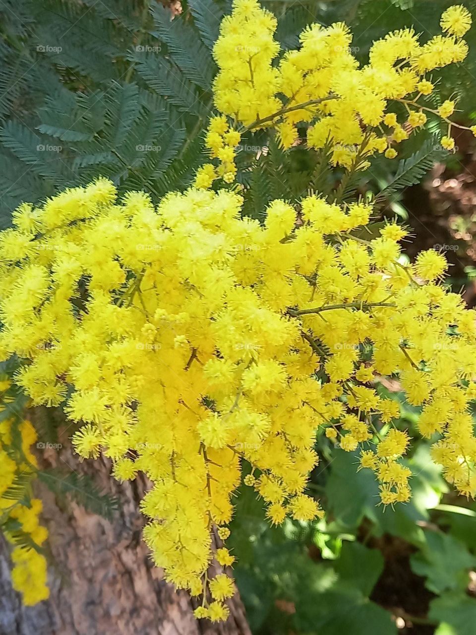 march 8, for all women