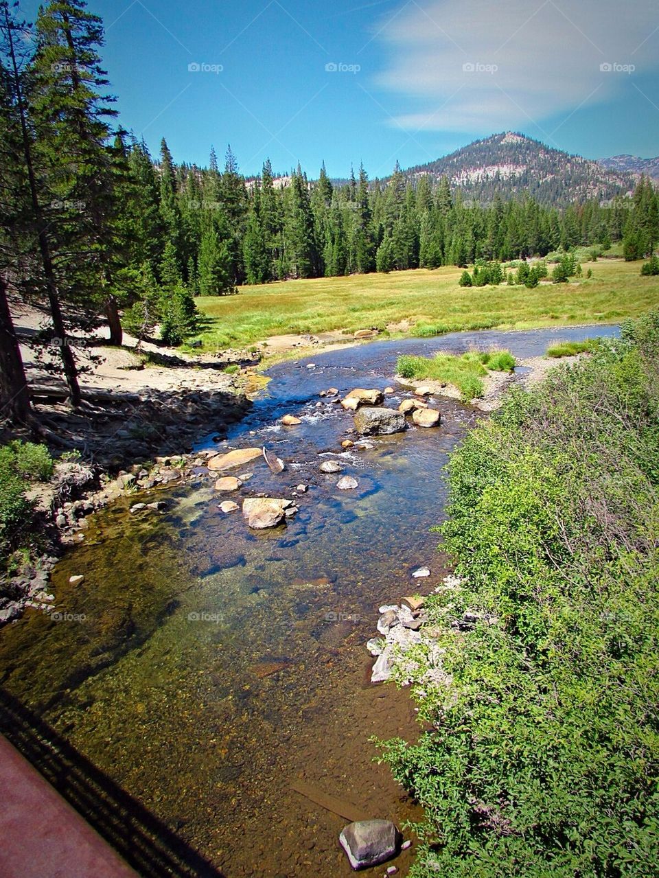 Scenery in Mammoth, CA