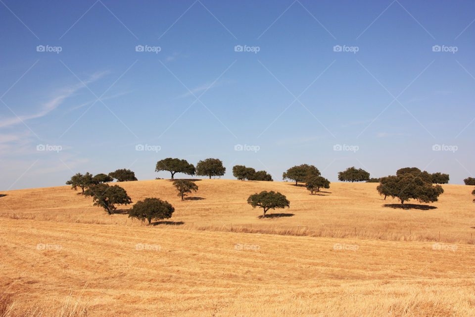 Lanscape in Evora in Portugal