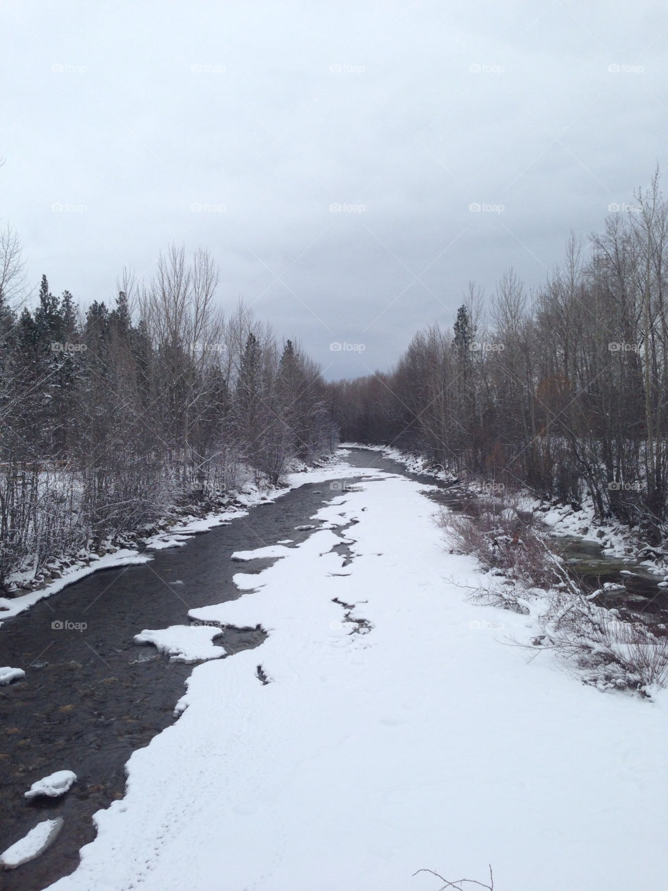 Snow, Winter, Cold, Ice, Landscape