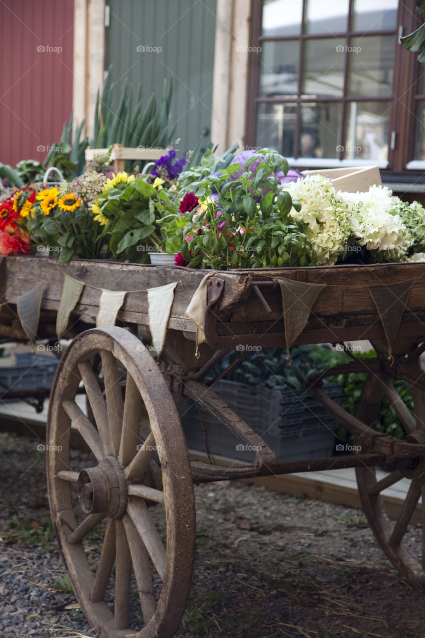 Cart, Flower, No Person, Garden, Wood