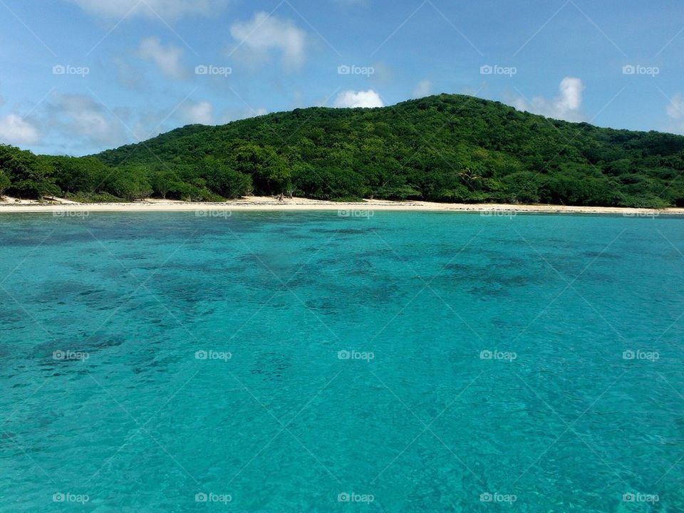 View of beach