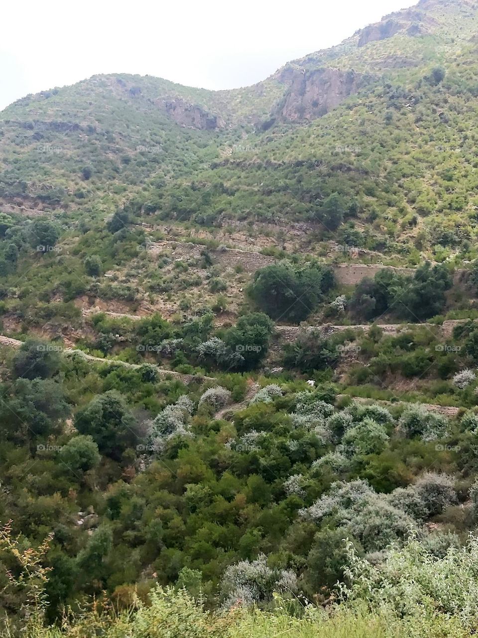 tour trip on the way photo