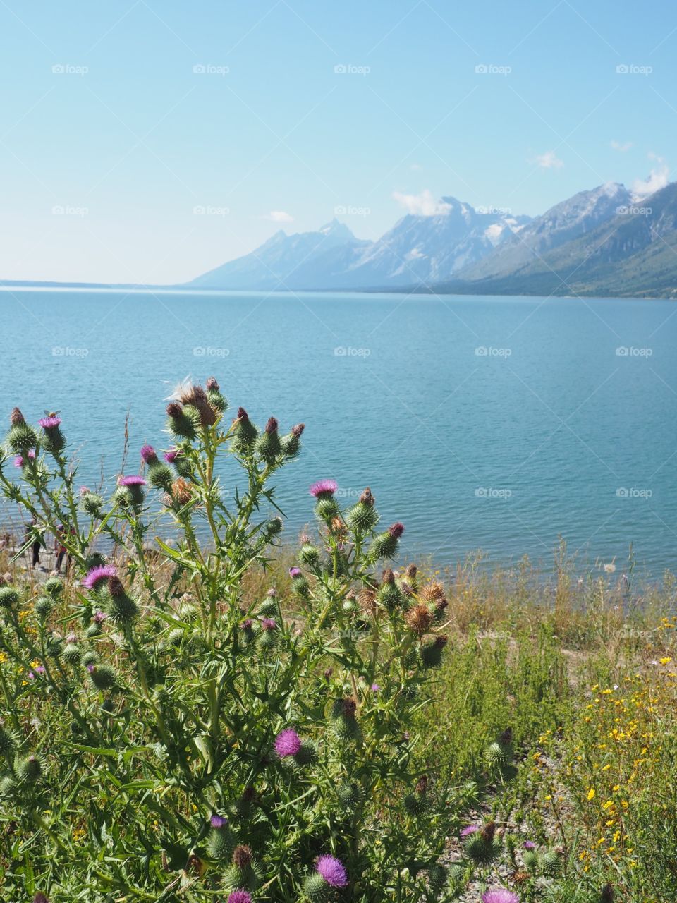 Grand Teton 