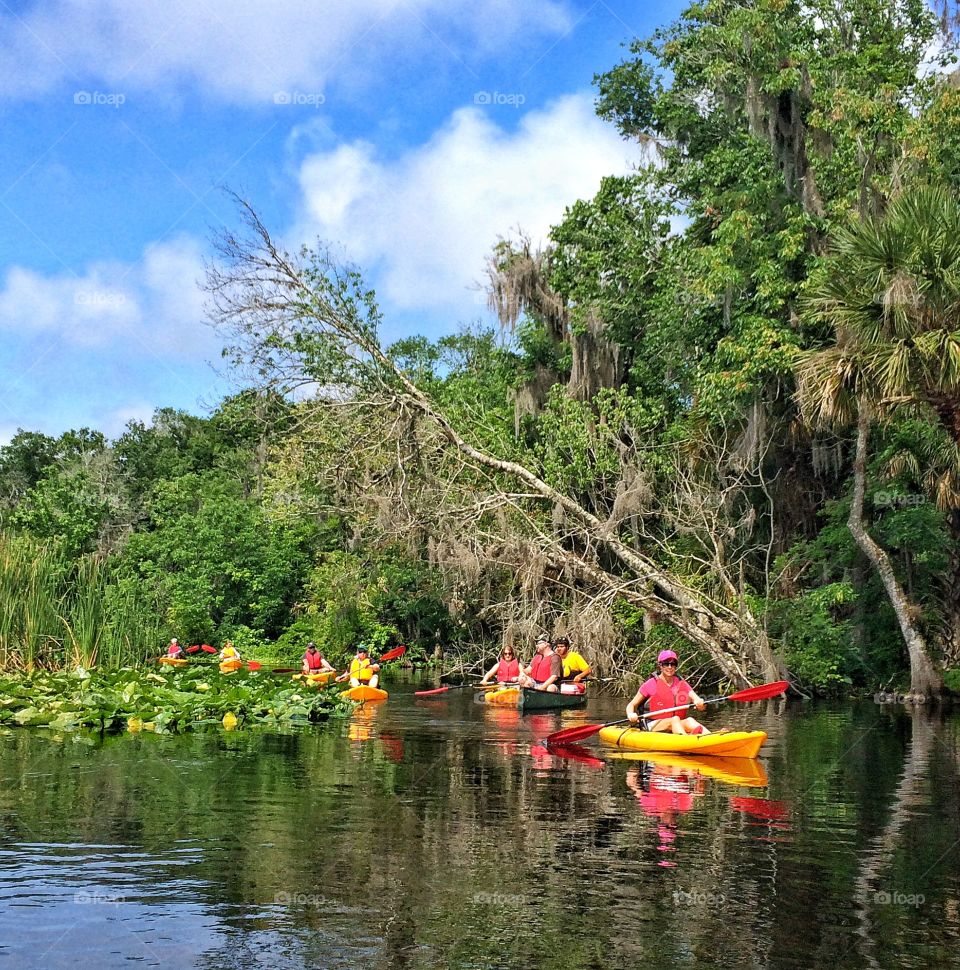 Kayaking on the Wekiva River 