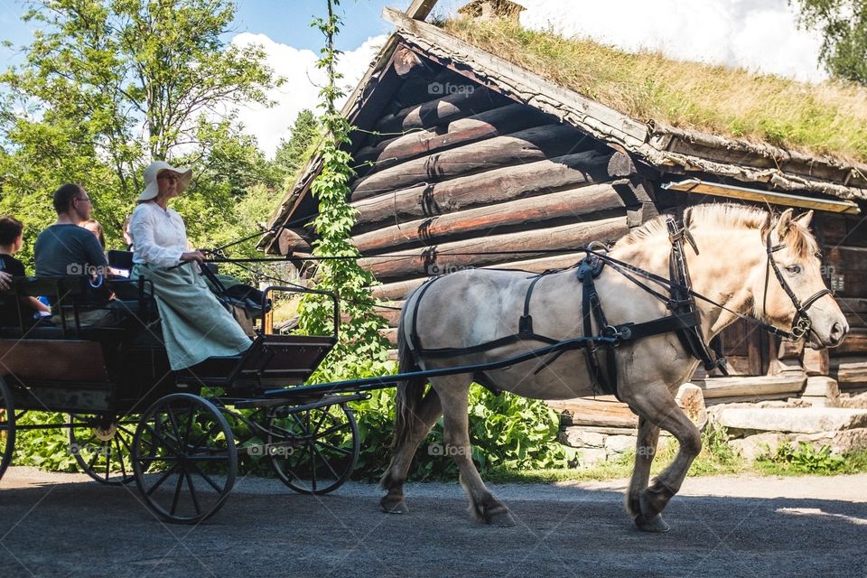 Traditional Norwegian Hayride Horse