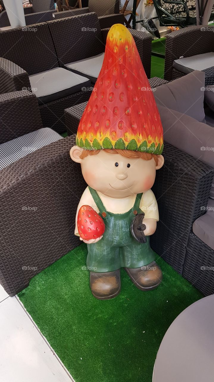 Lawn gnome