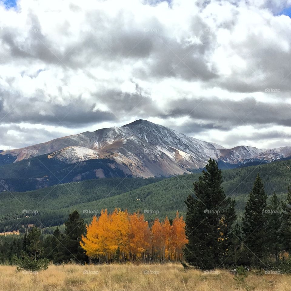 Mountain tops and stunning Aspens