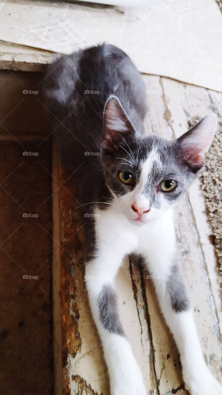 resting on the porch steps