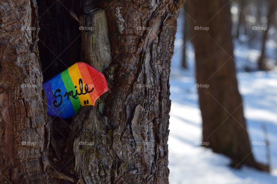 Hidden Kindness Rock