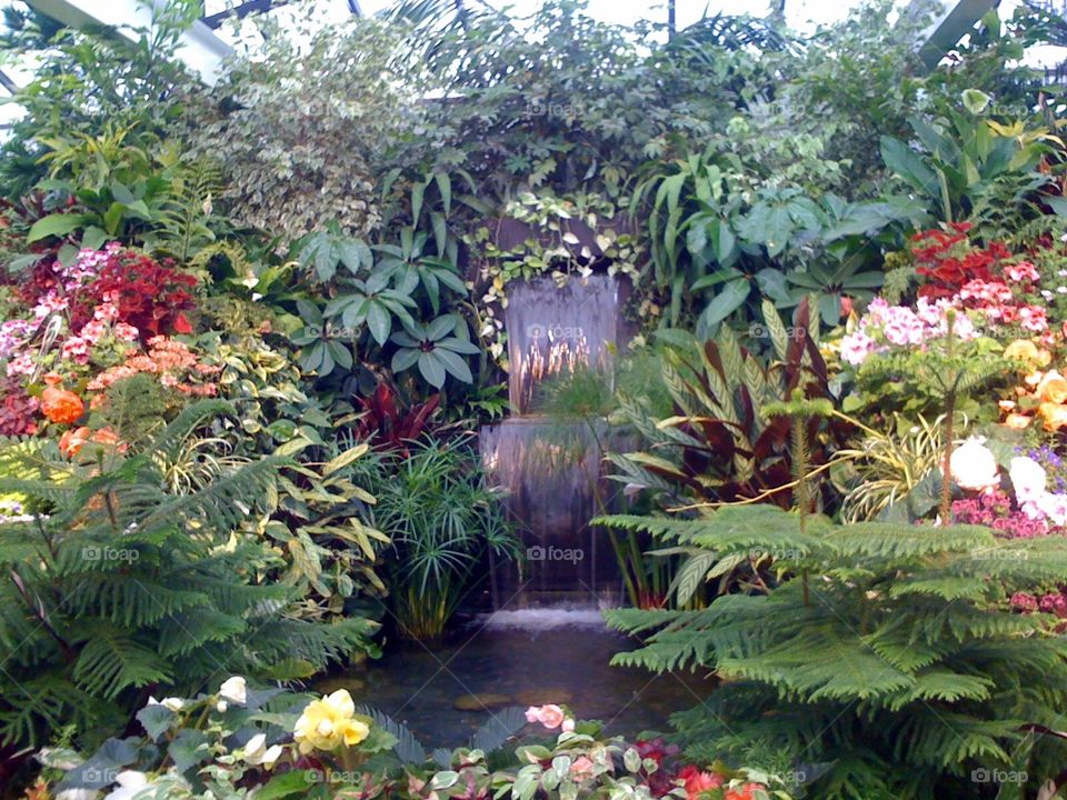 Botanic garden