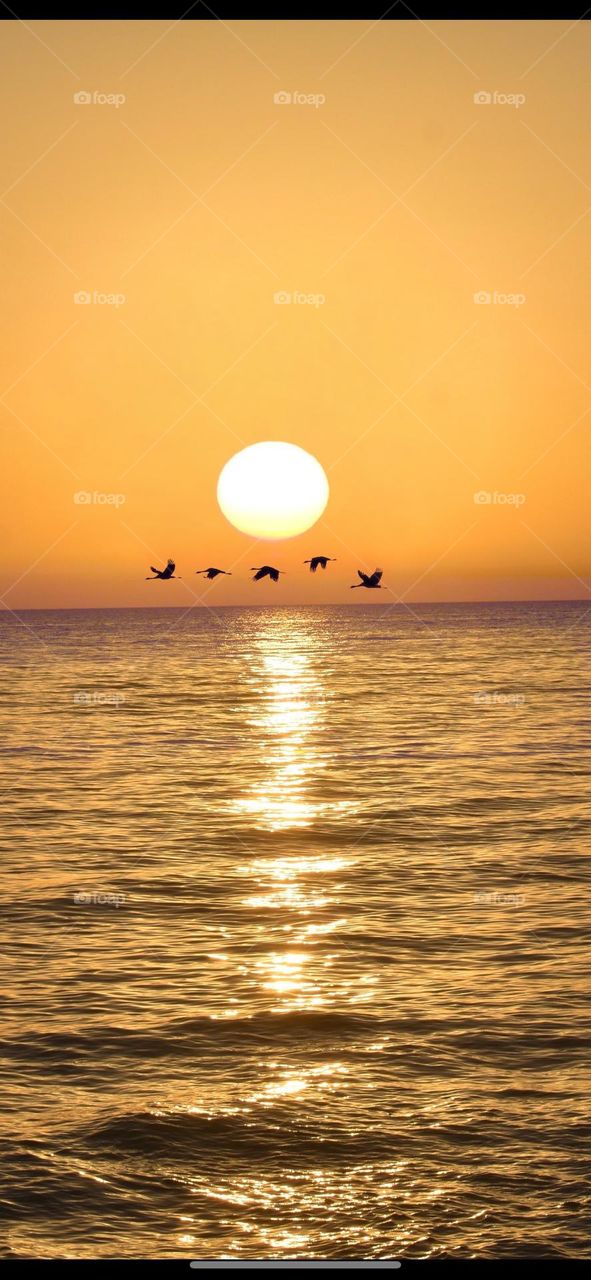 “Sunrise over the sea “ 