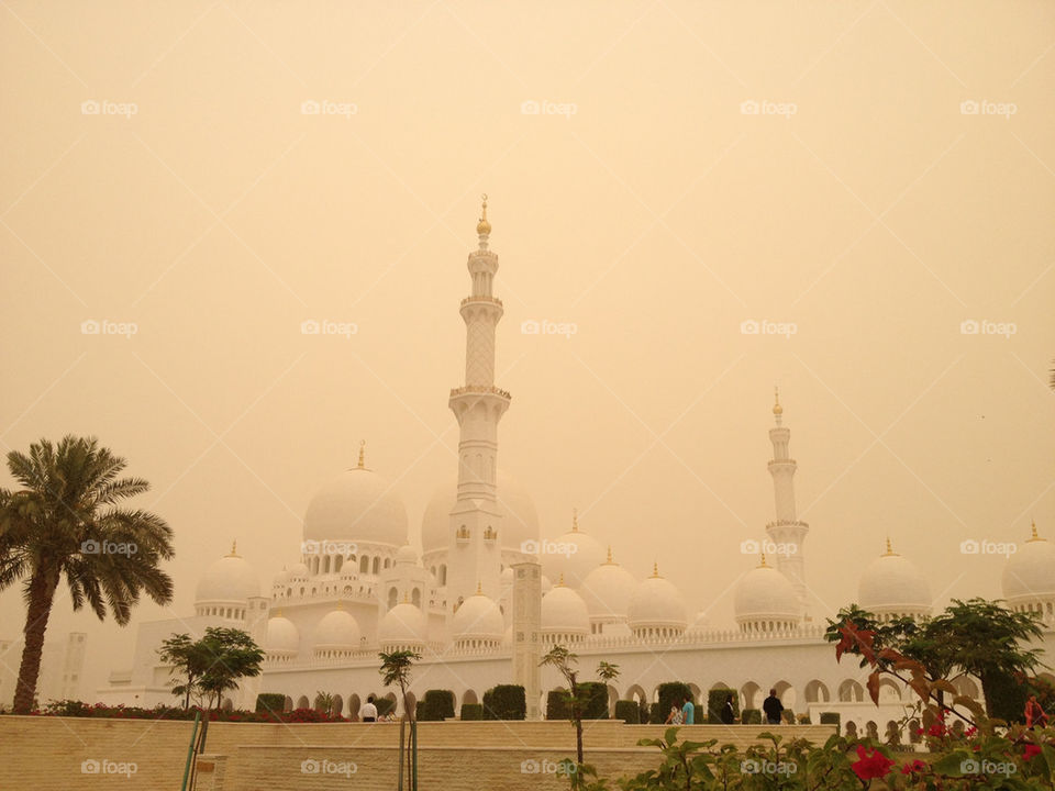 Mosc inbedded in sandstorm