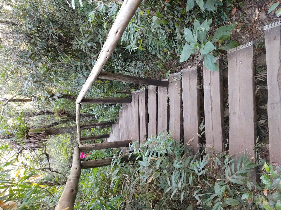 escadas em meio a natureza