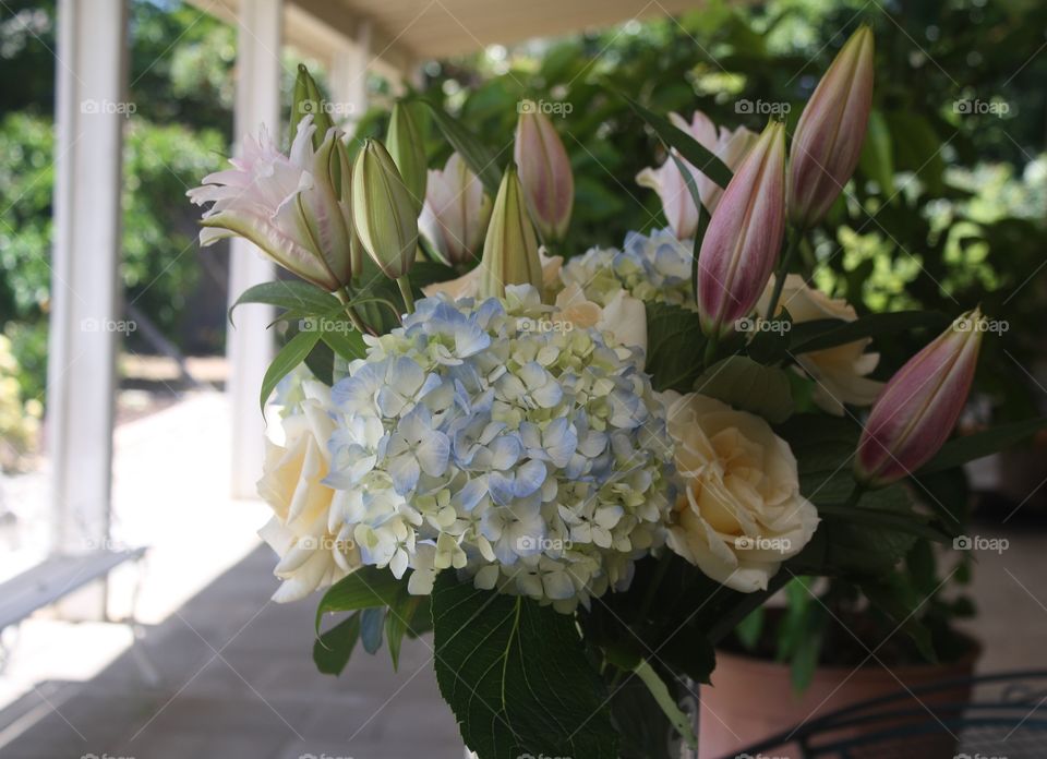 Mother’s Day Bouquet full of pink stargazer lilies, pink double lilies, white roses and blue hydrangeas 