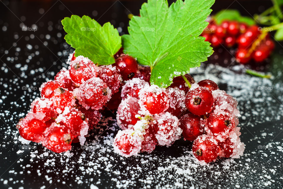 branch of red currant in sugar on a black background