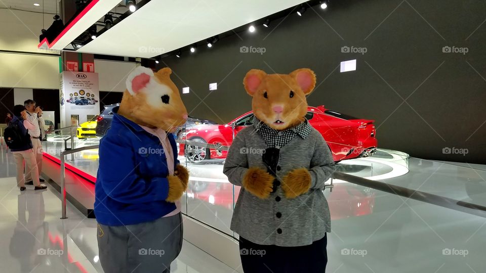 Fun Kia Hamsters