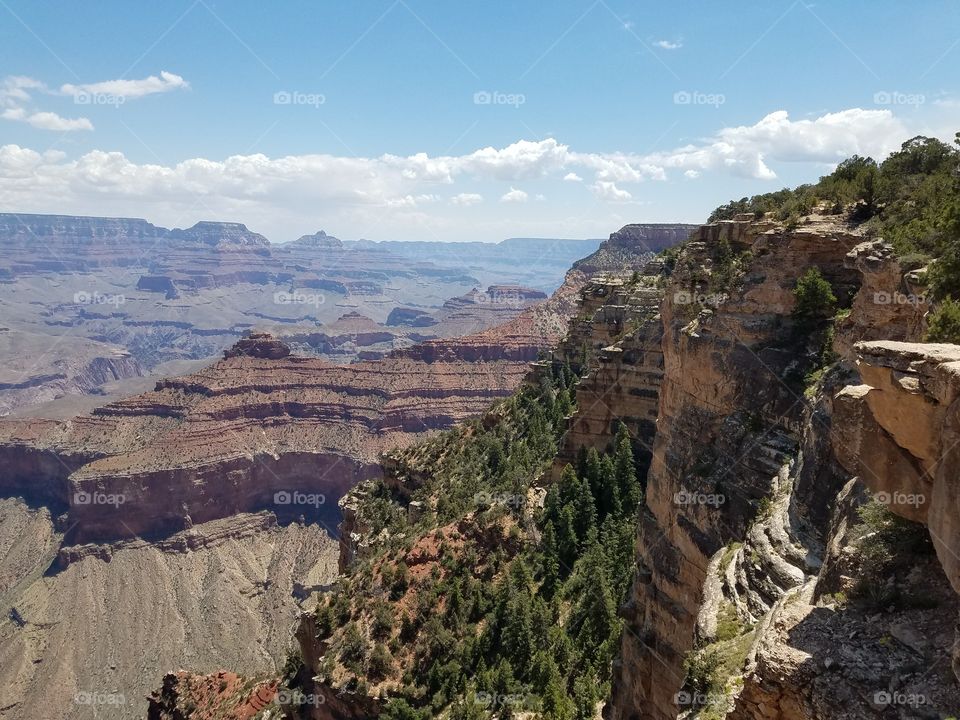 the Grand canyon