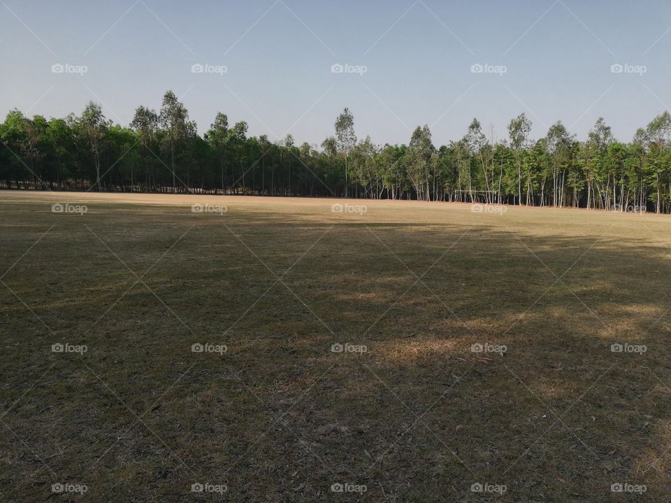 fild
