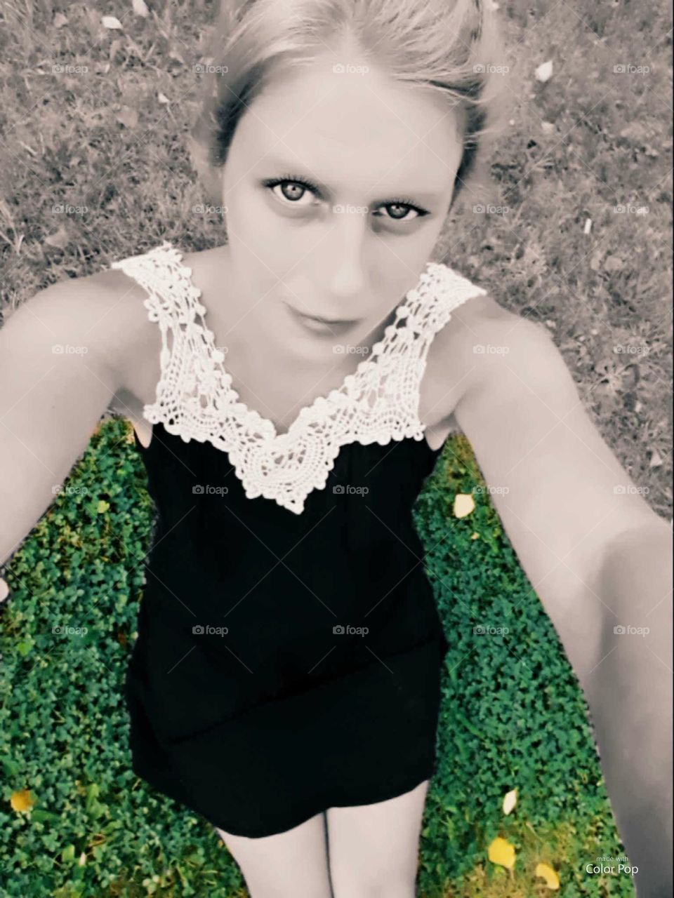 My lucky Three leaf clover patch