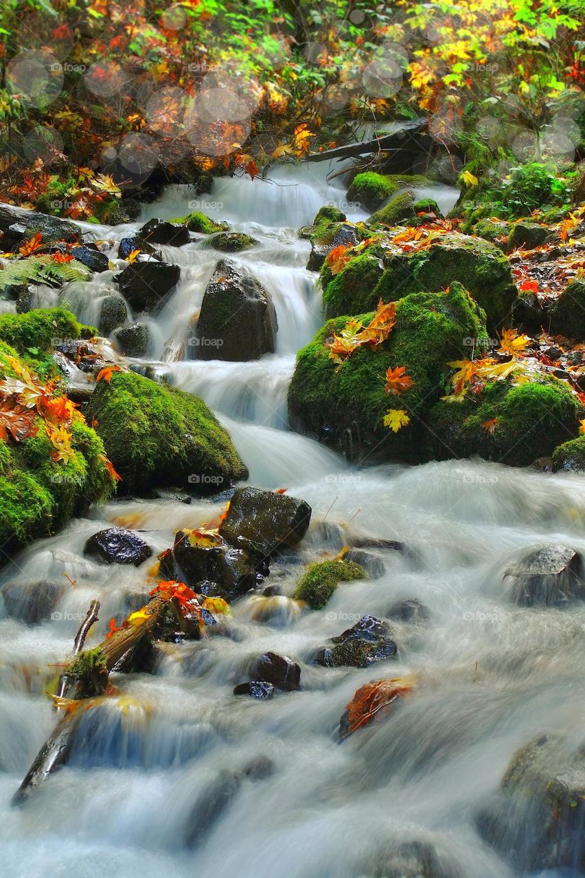 mountain river in the fall