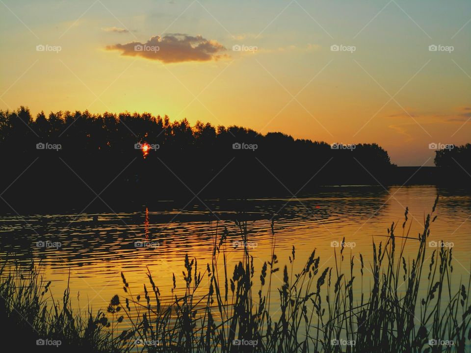 Sunset, Water, Dawn, Reflection, Lake