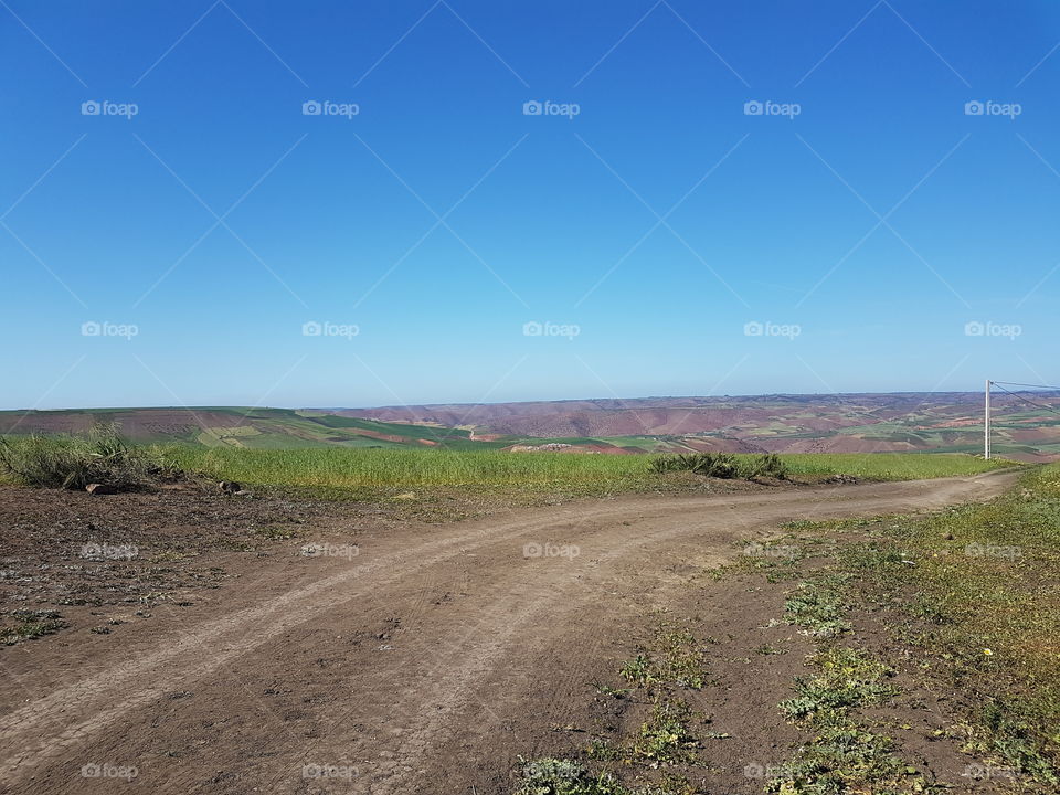 Nature _ Moroccan Fields