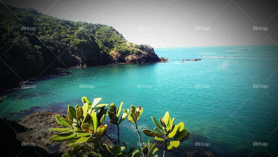 paradise new zealand