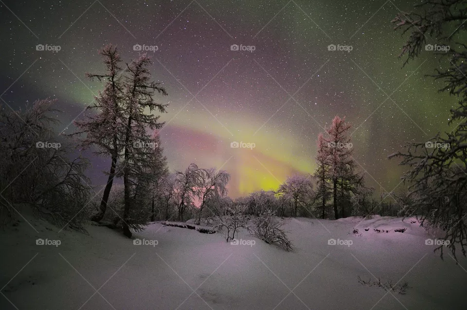 Night, aurora borealis, north, night north, polar region, night polar region, northern lights, stars, frost, frosty night, breath, cold, new year, Santa claus, northern santa claus, travel, night walk, shining sky, flashes, tundra, forest,