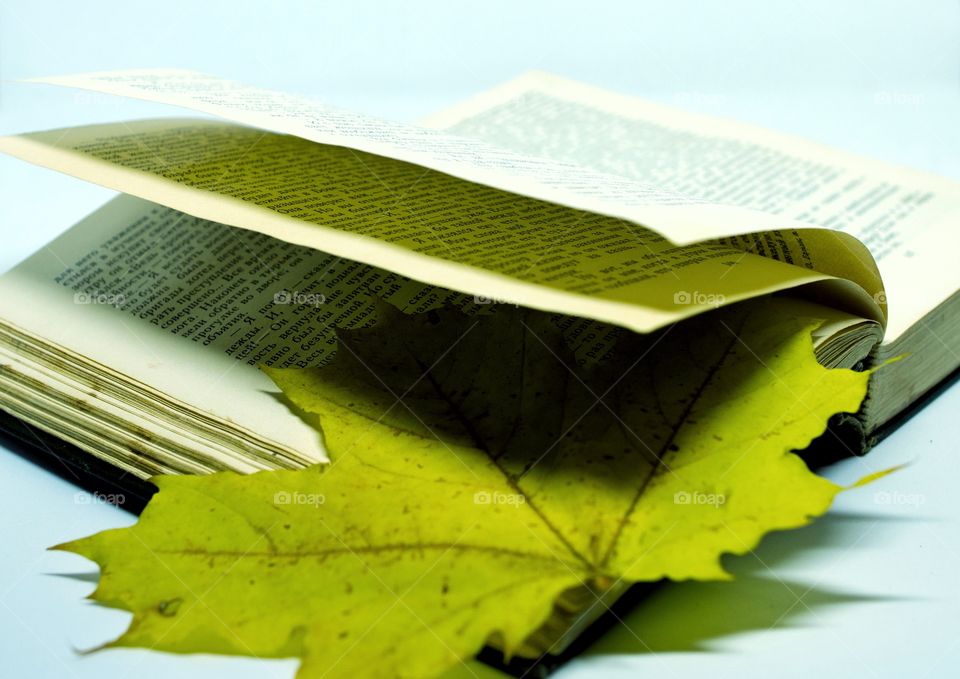 a leaf on the book